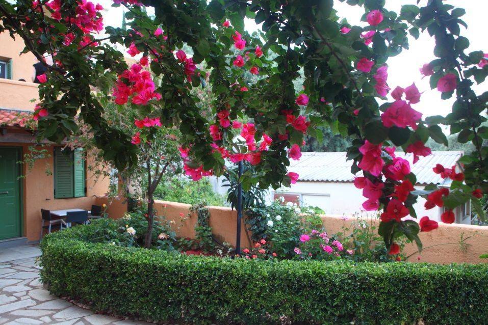 Hotel - Grekodom 39587|588922