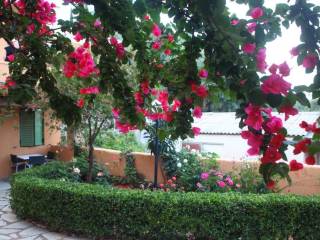 Hotel - Grekodom 39587|588922