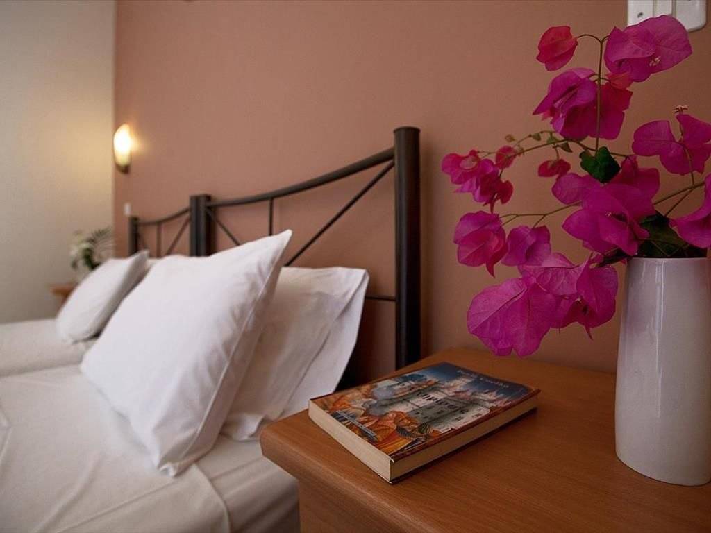 Hotel - Grekodom 39589|589052