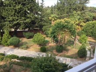 Apartment - Grekodom 39580|588856