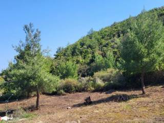 Plot - Grekodom 38979|850297