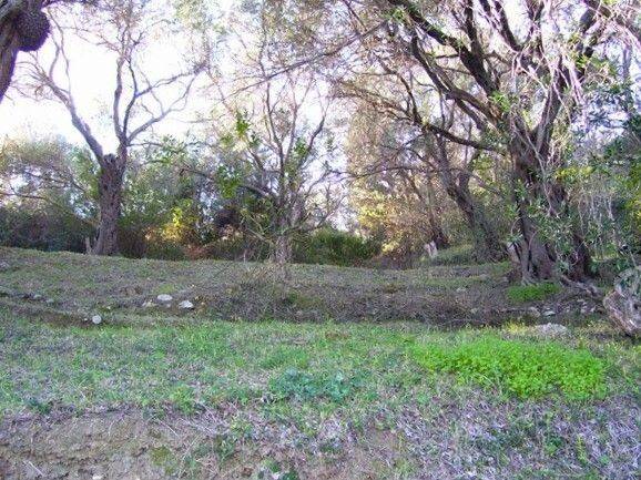 Plot - Grekodom 38899|975405