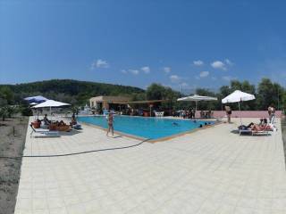 Other commercial - Grekodom 38784|578255