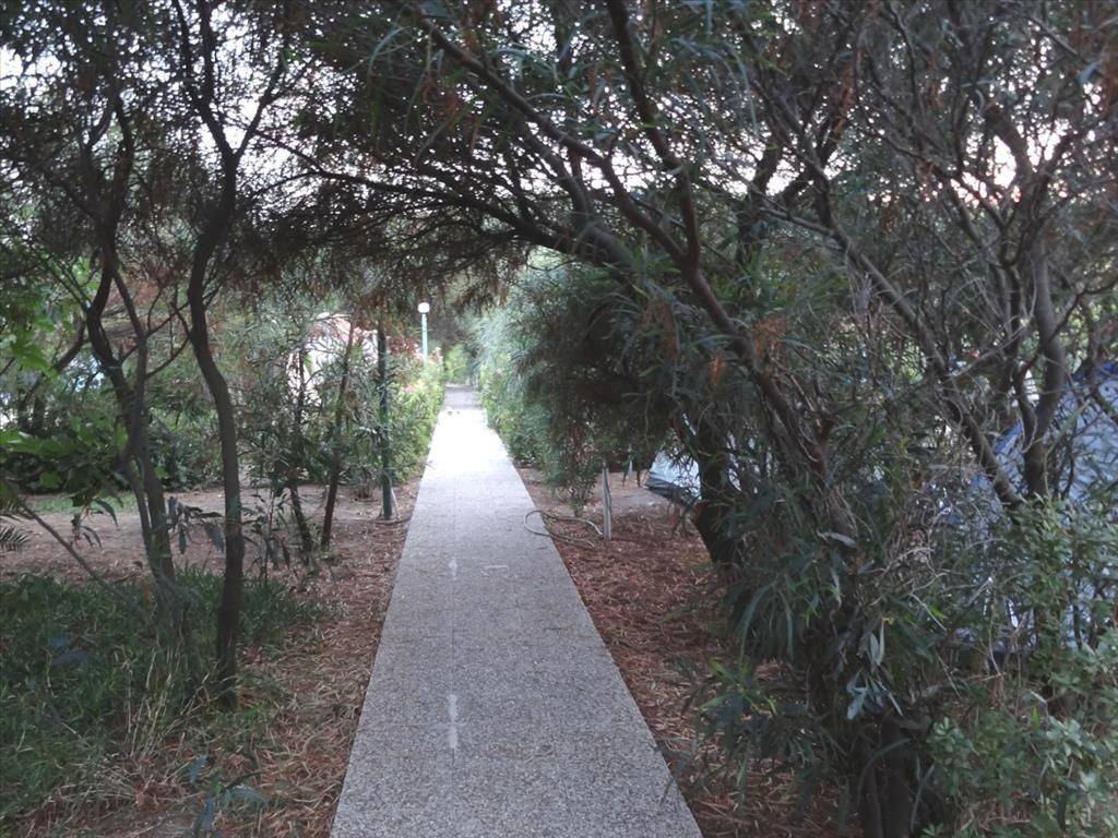 Other commercial - Grekodom 38784|578256