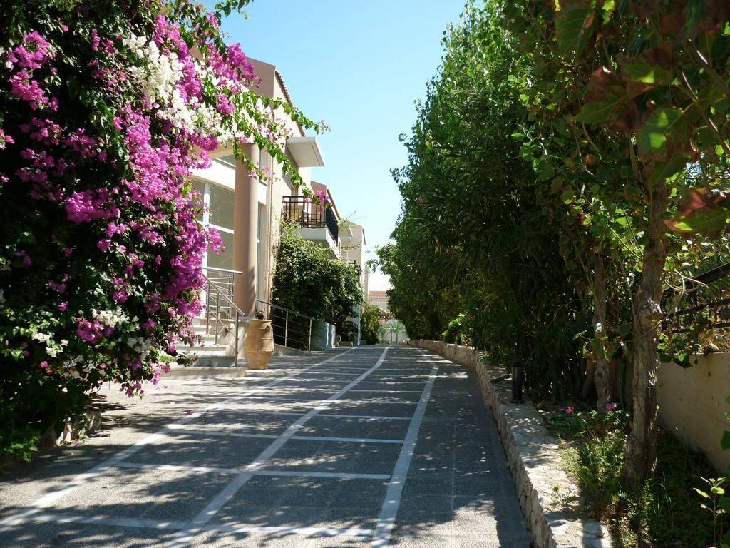 Hotel - Grekodom 38772|578054