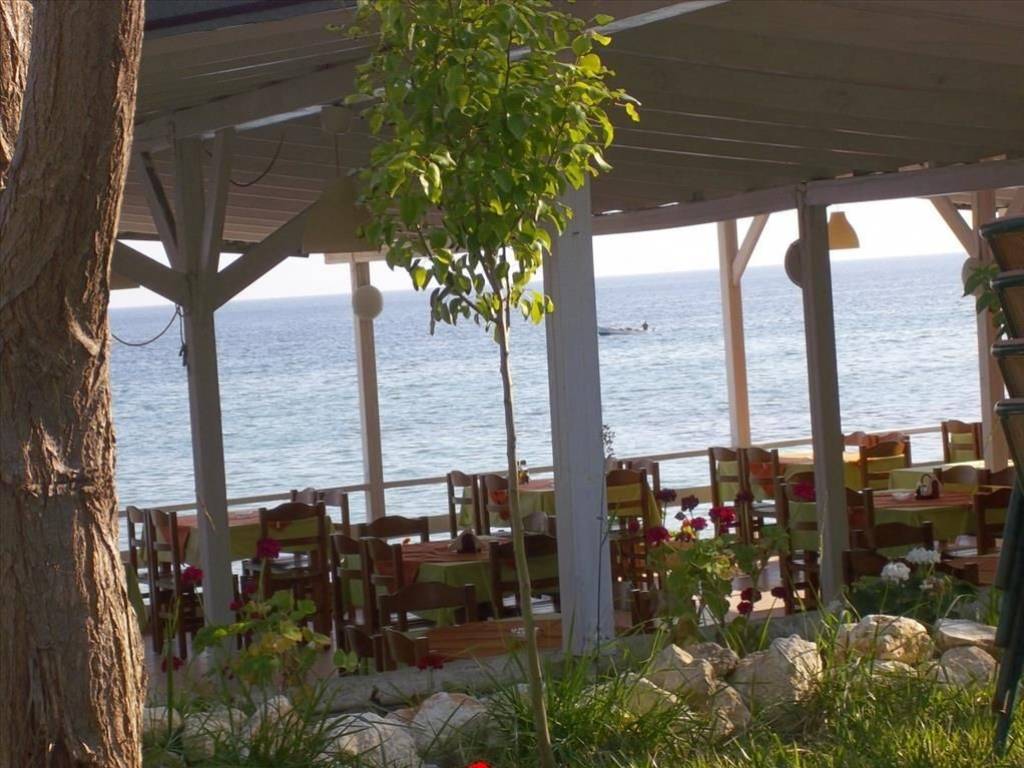 Other commercial - Grekodom 38484|574454