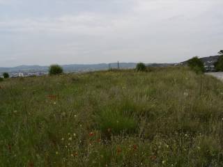 Plot - Grekodom 37918|567085