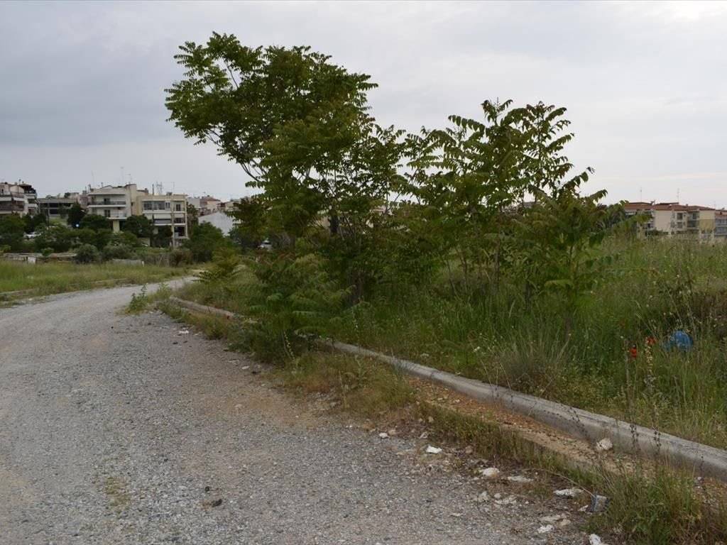 Plot - Grekodom 37918|567083