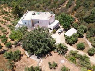 Other commercial - Grekodom 37548|562690