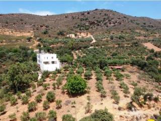 Other commercial - Grekodom 37548|562692