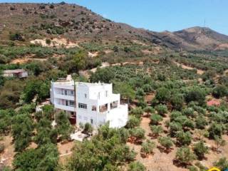 Other commercial - Grekodom 37548|562694