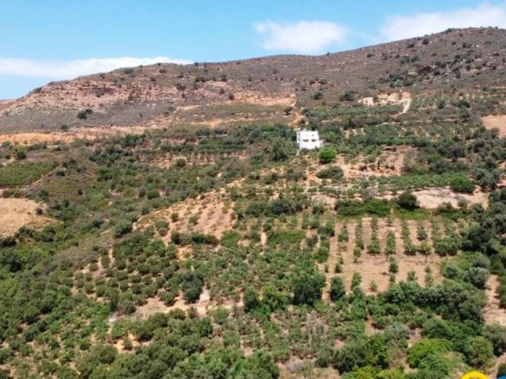 Other commercial - Grekodom 37548|562693