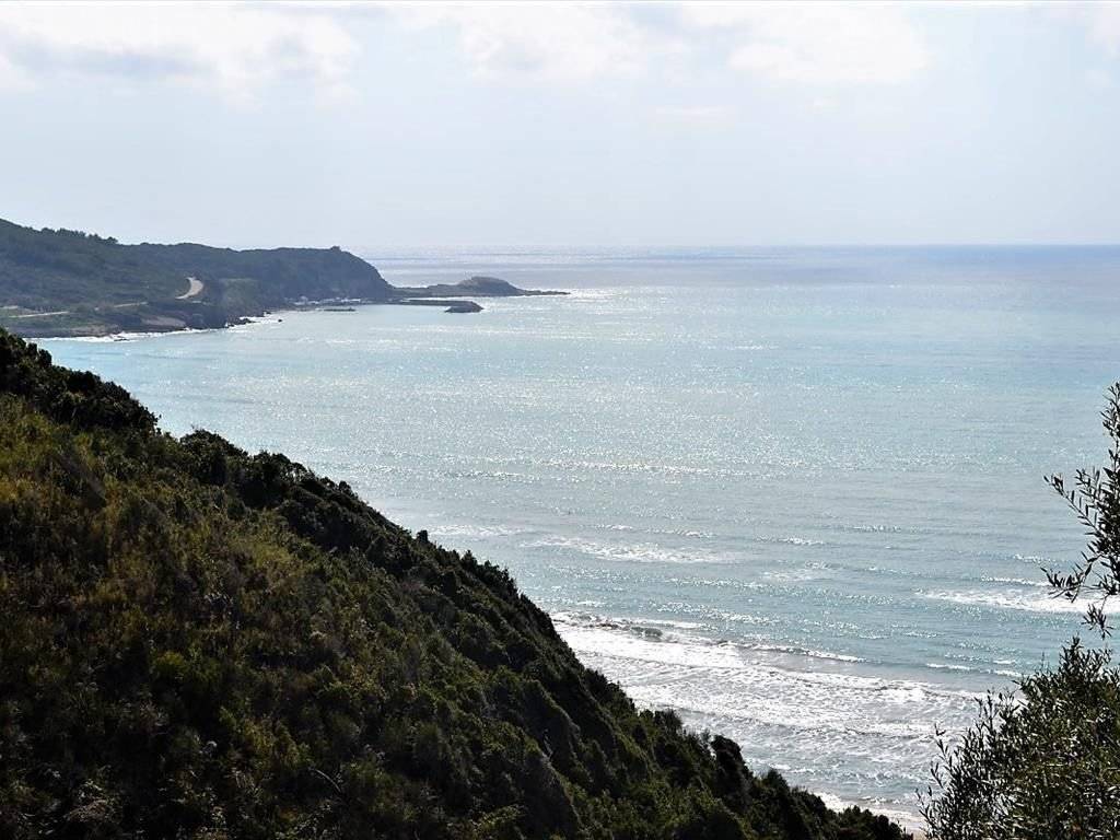 Plot - Grekodom 37188|558658