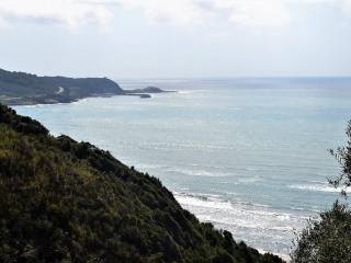 Plot - Grekodom 37188|558658