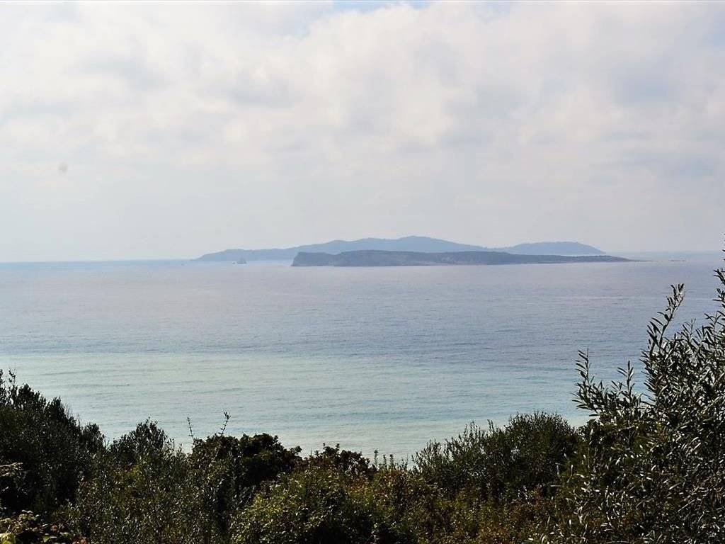 Plot - Grekodom 37188|558655