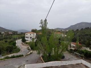 Building - Grekodom 37253|559213