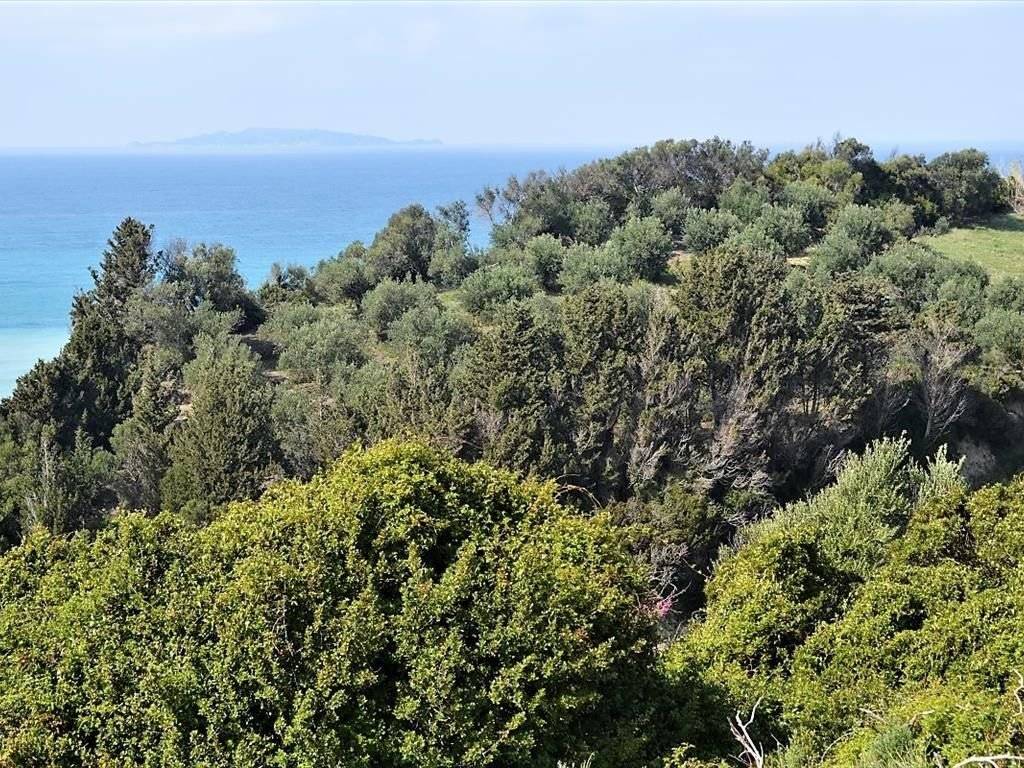 Plot - Grekodom 37188|558657