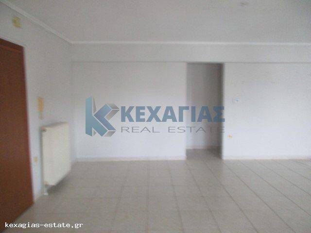 ΣΑΛΟΚΟΥΖΙΝΑ