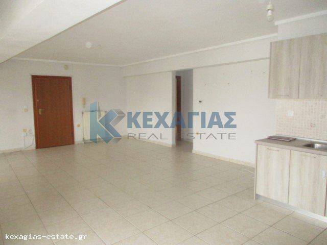 ΣΑΛΟΚΟΥΖΙΝΑ