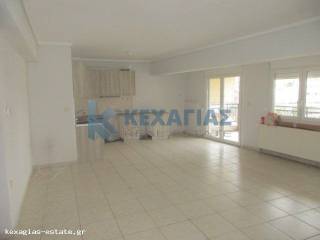 ΣΑΛΟΚΟΥΖΙΝΑ