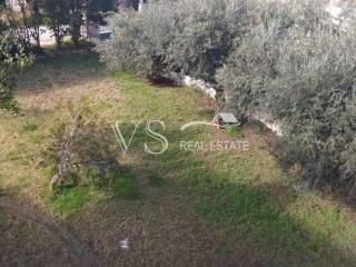 Άποψη  Οικοπέδου