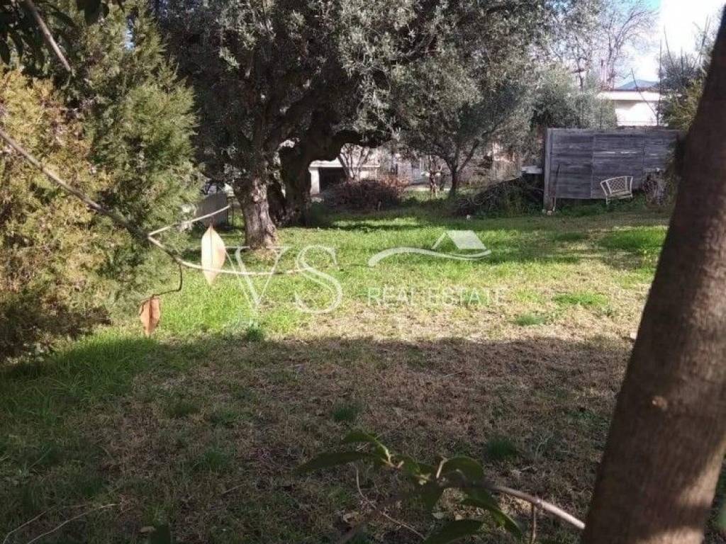 Άποψη  Οικοπέδου