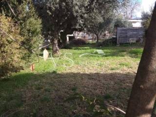 Άποψη  Οικοπέδου