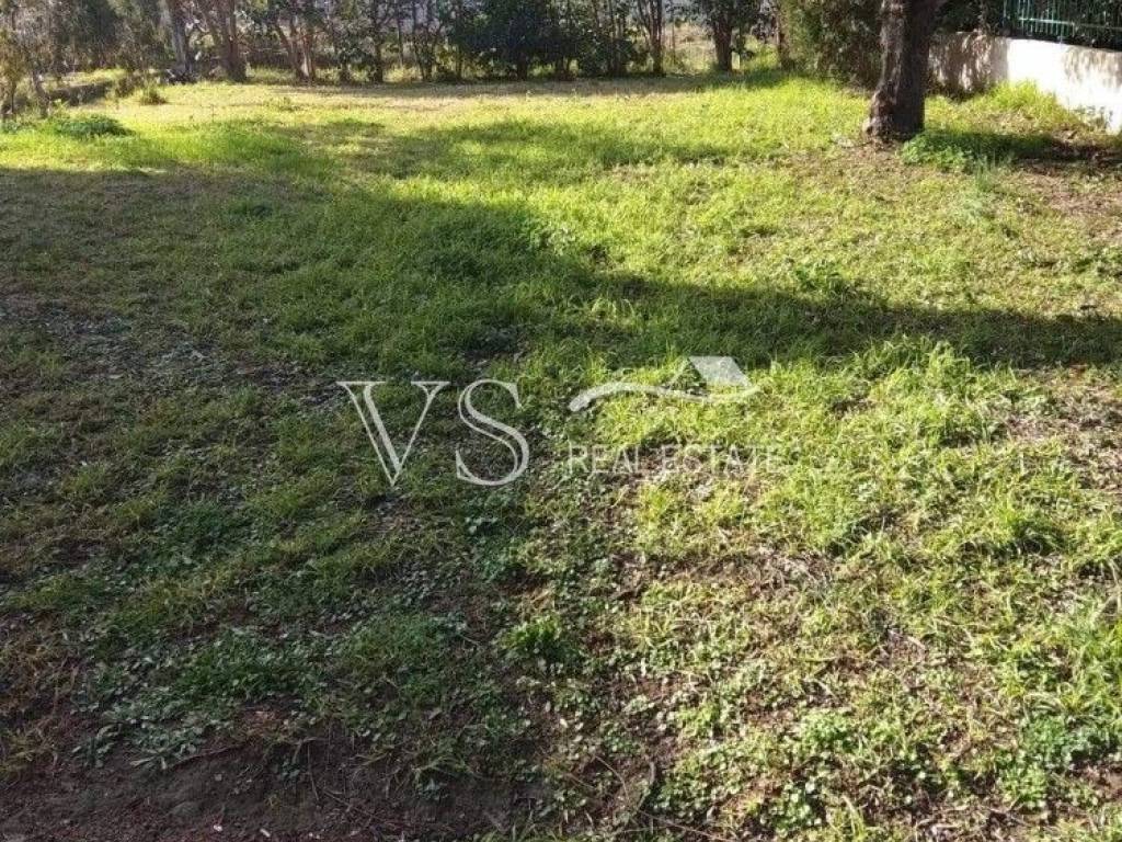 Άποψη  Οικοπέδου