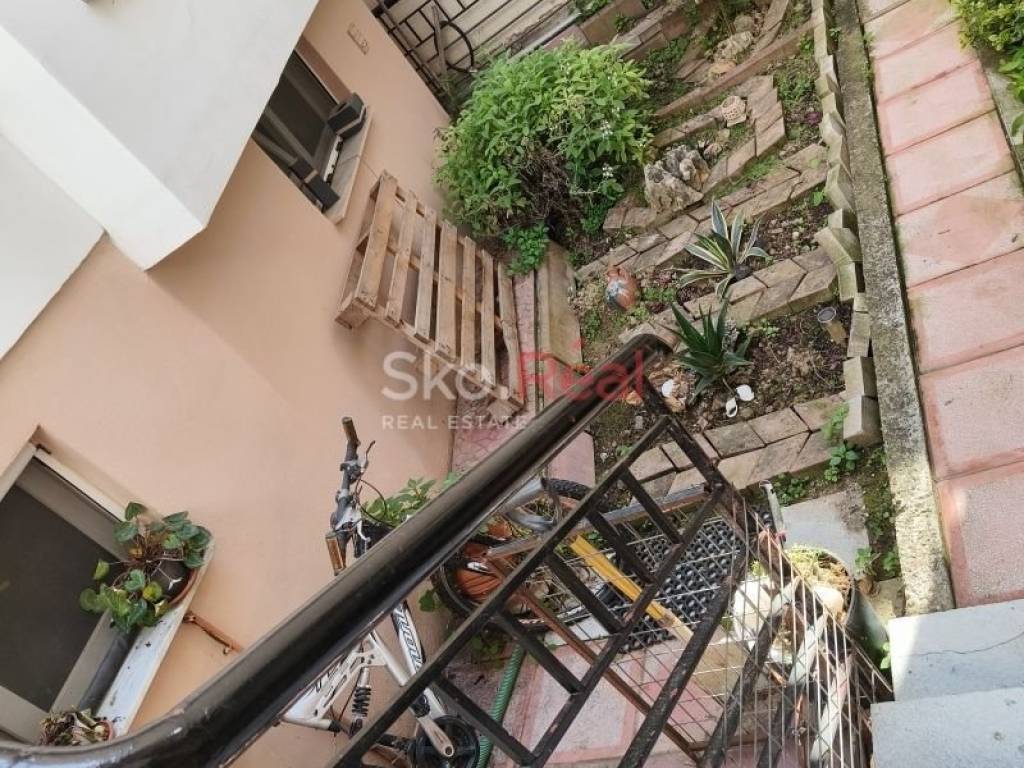 Σκάά εισόδου