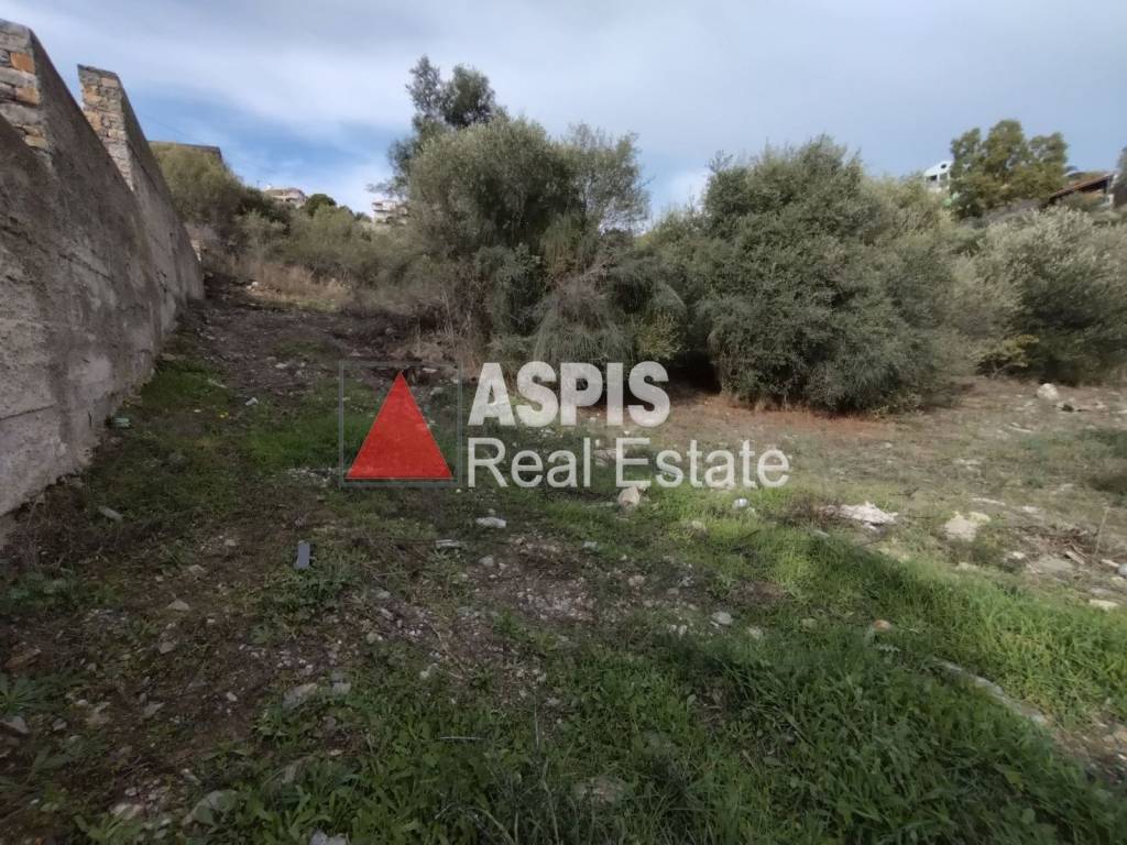 Εξωτερικοι χώροι