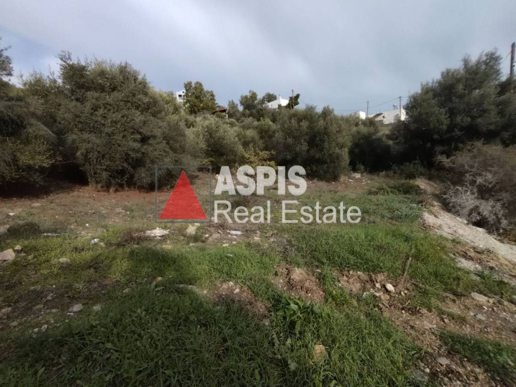 Εξωτερικοι χώροι