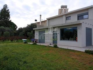 Εξωτερικοι χώροι