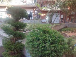 Περιβάλλοντας χωρος του συγκροτήματος