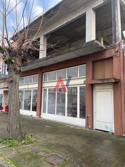 ΛΙΑΧΑΝΟΣ ΠΑΛΑΜΑΣ4.jpeg