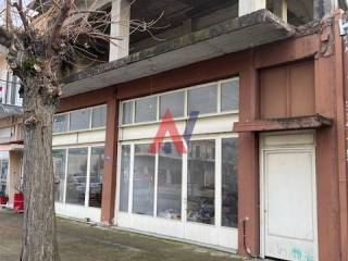 ΛΙΑΧΑΝΟΣ ΠΑΛΑΜΑΣ4.jpeg