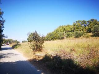 Plot - Grekodom 39958|598526