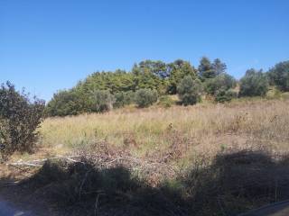 Plot - Grekodom 39958|598525