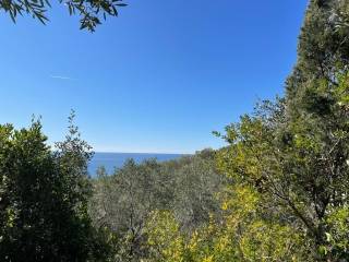 Plot - Grekodom 36667|736138