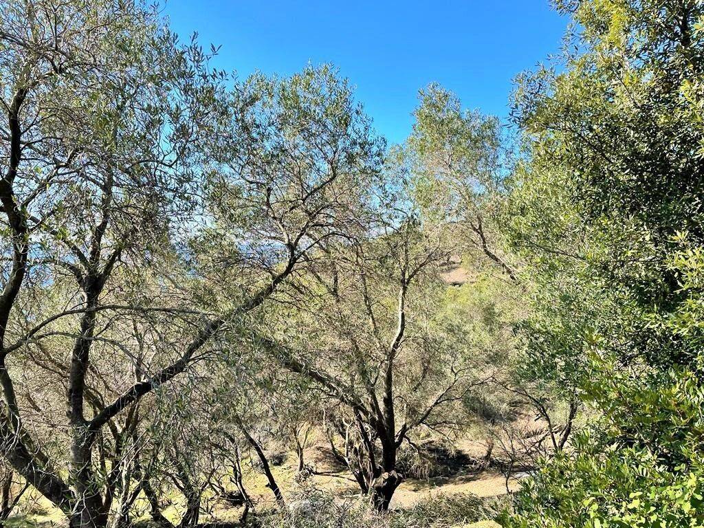 Plot - Grekodom 36667|736134