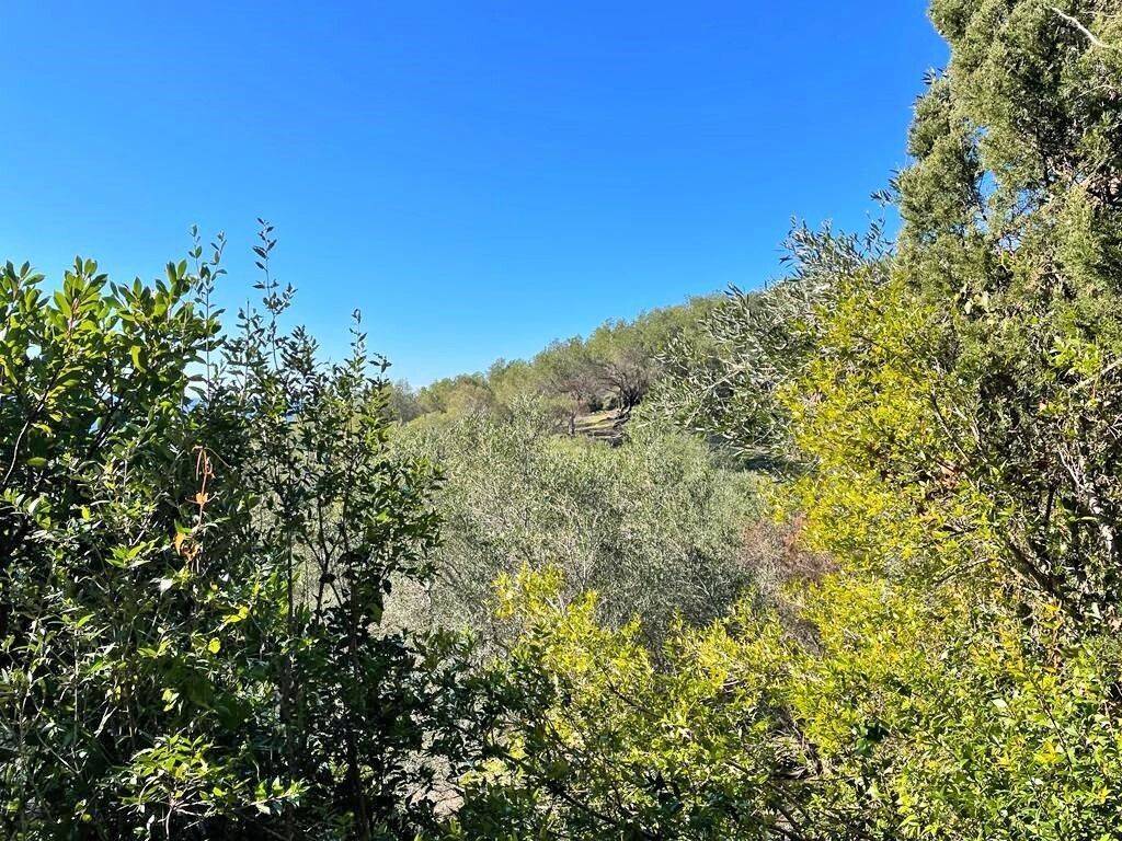 Plot - Grekodom 36667|736137