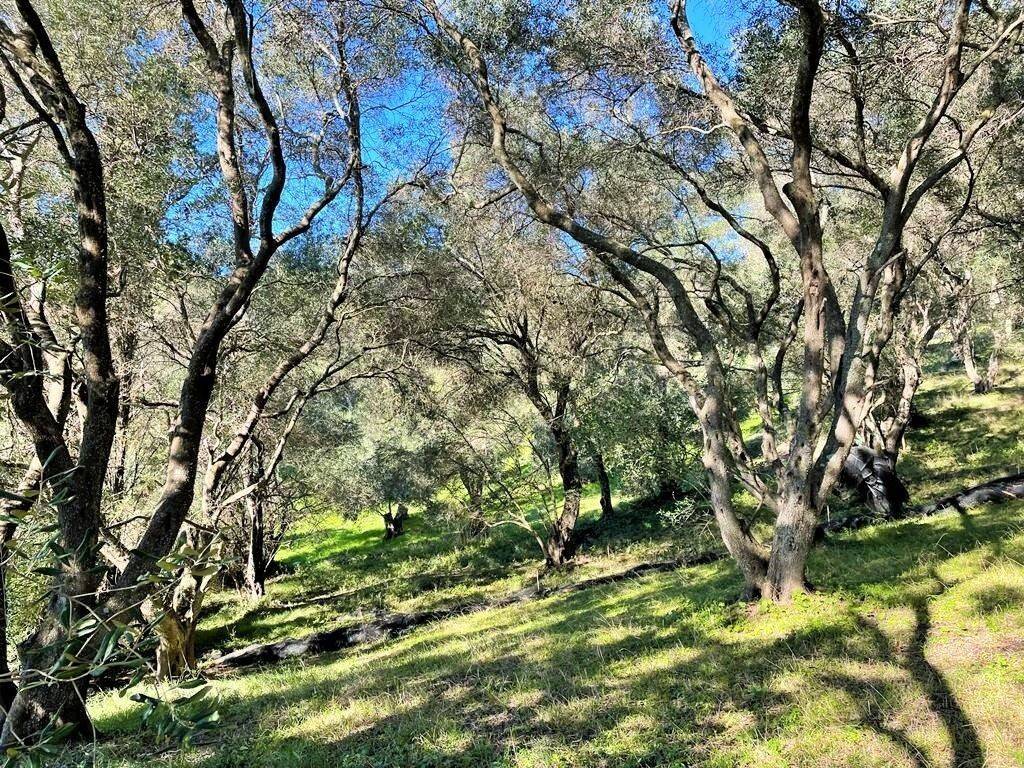 Plot - Grekodom 36667|736136