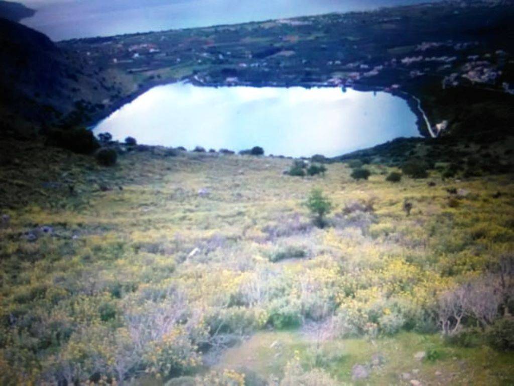 Plot - Grekodom 36587|551586