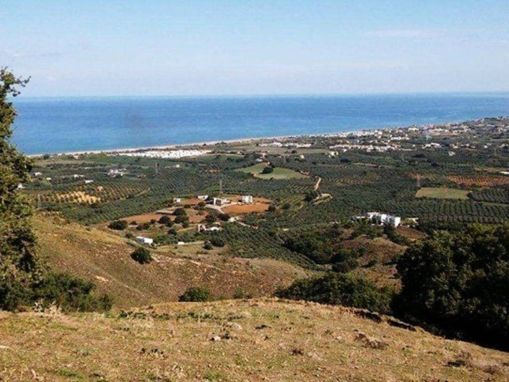 Plot - Grekodom 36587|551579