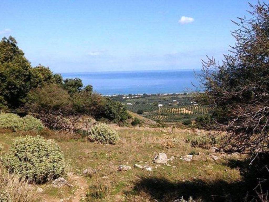 Plot - Grekodom 36587|551580