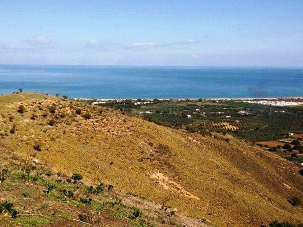 Plot - Grekodom 36587|551581