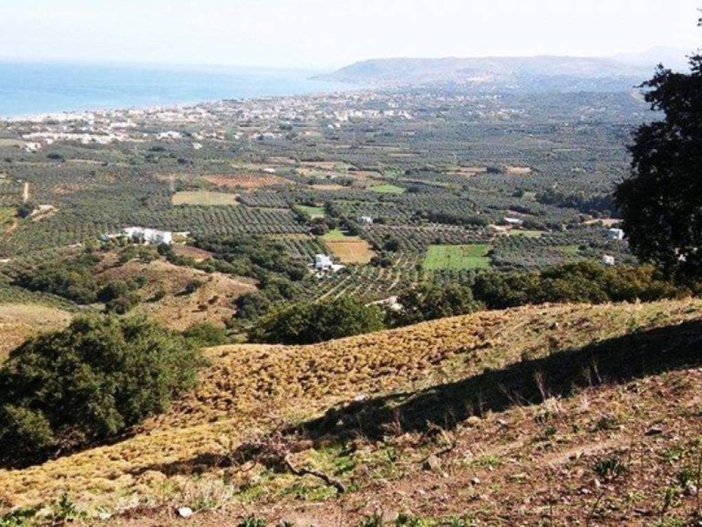 Plot - Grekodom 36587|551582