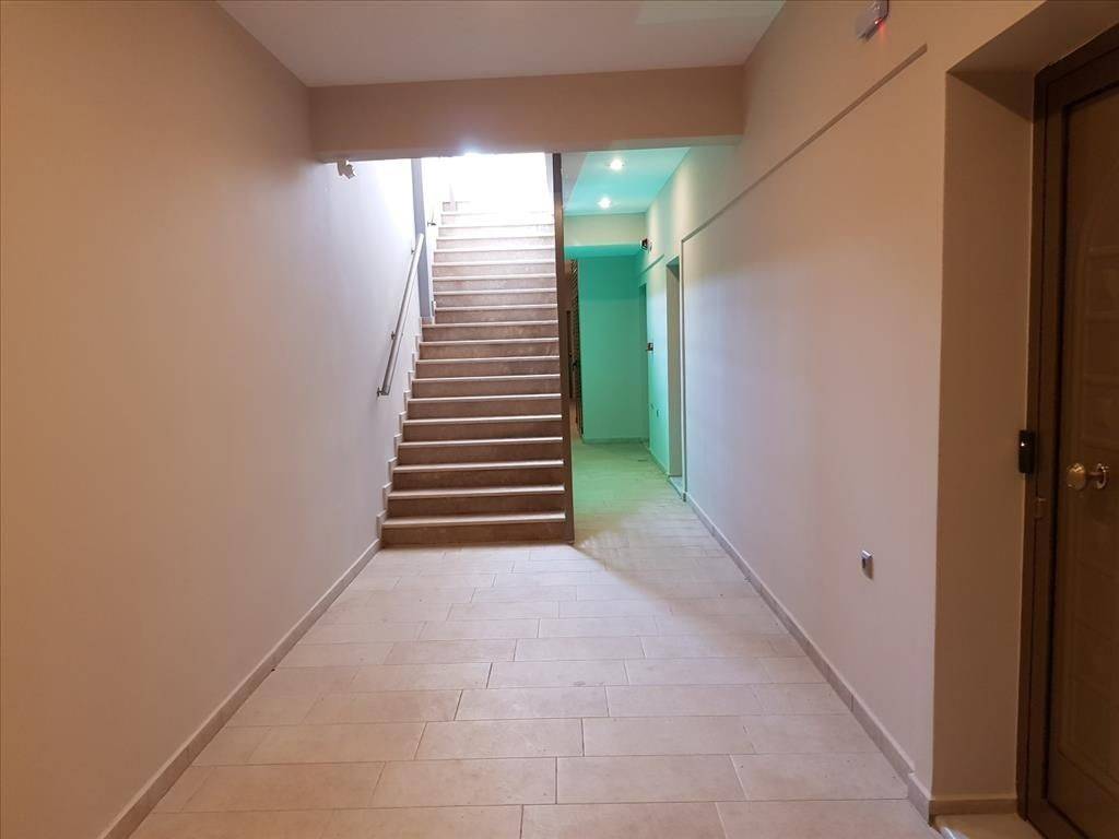 Hotel - Grekodom 36241|547776