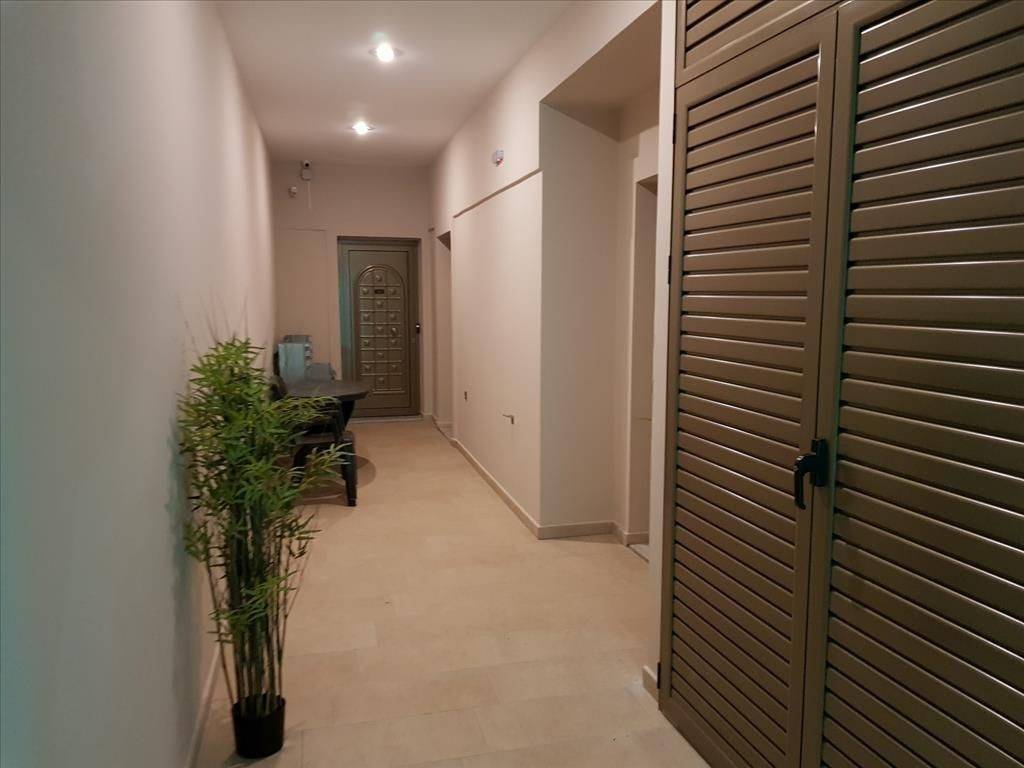 Hotel - Grekodom 36241|547777