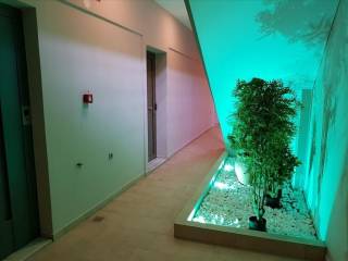 Hotel - Grekodom 36241|547778