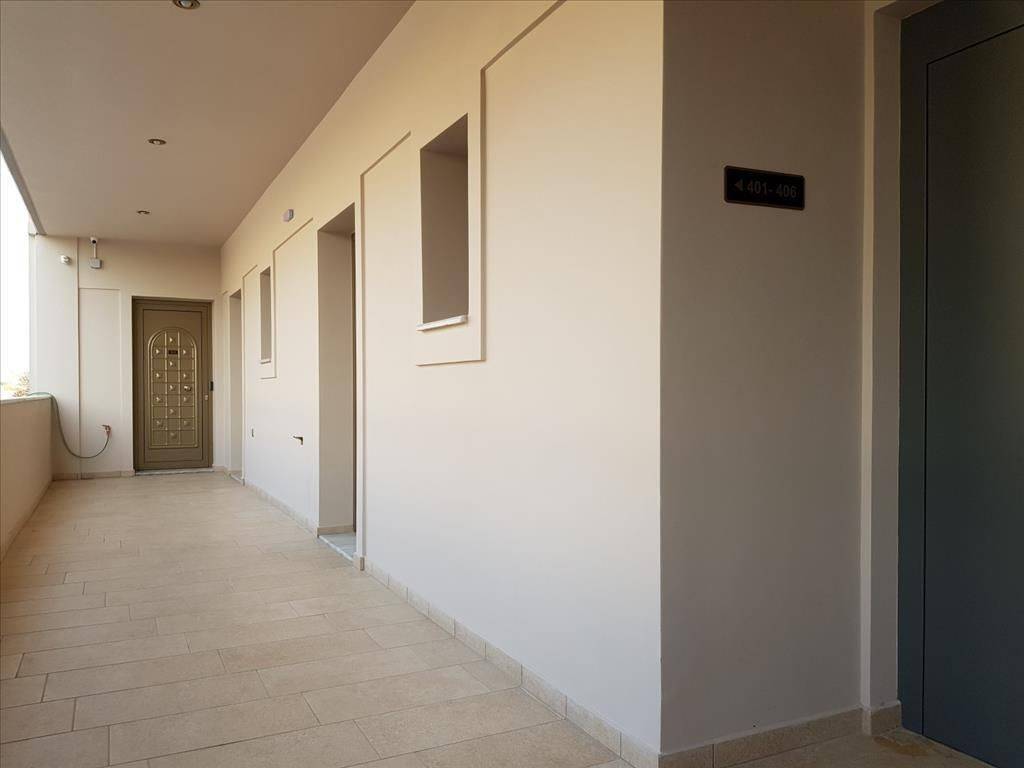 Hotel - Grekodom 36241|547779